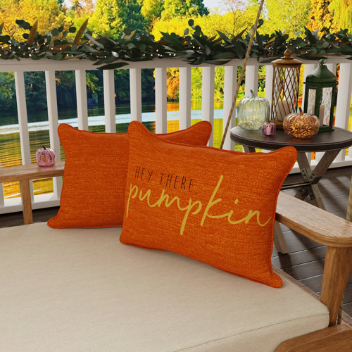 Wayfair Outdoor Pillows You'll Love in 2023